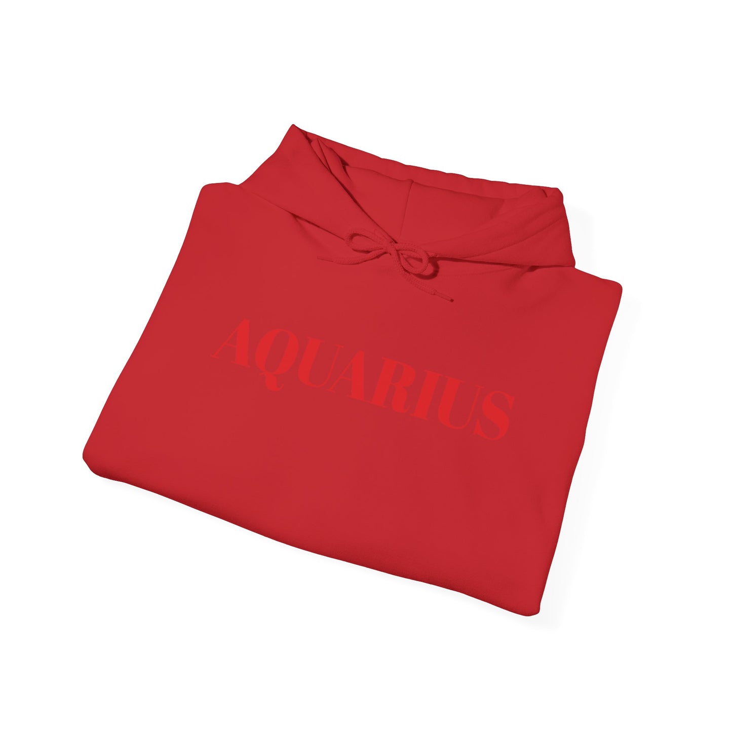 Aquarius Red Hoodie