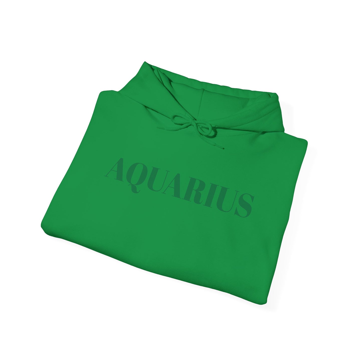 Aquarius Green Hoodie