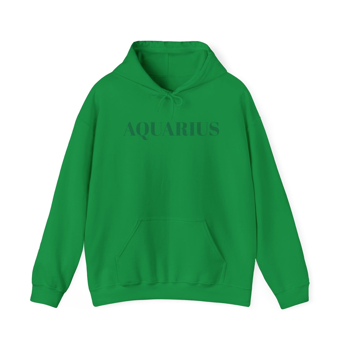 Aquarius Green Hoodie
