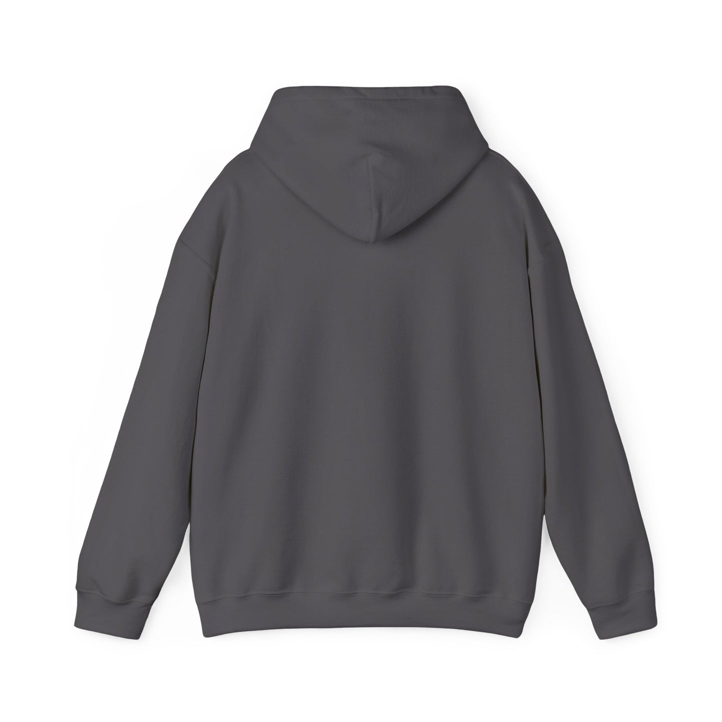 Hooded Sweatshirt - Focus on What You Need