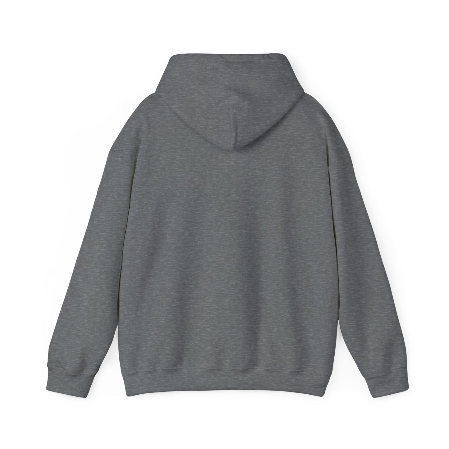 Hooded Sweatshirt - Focus on What You Need
