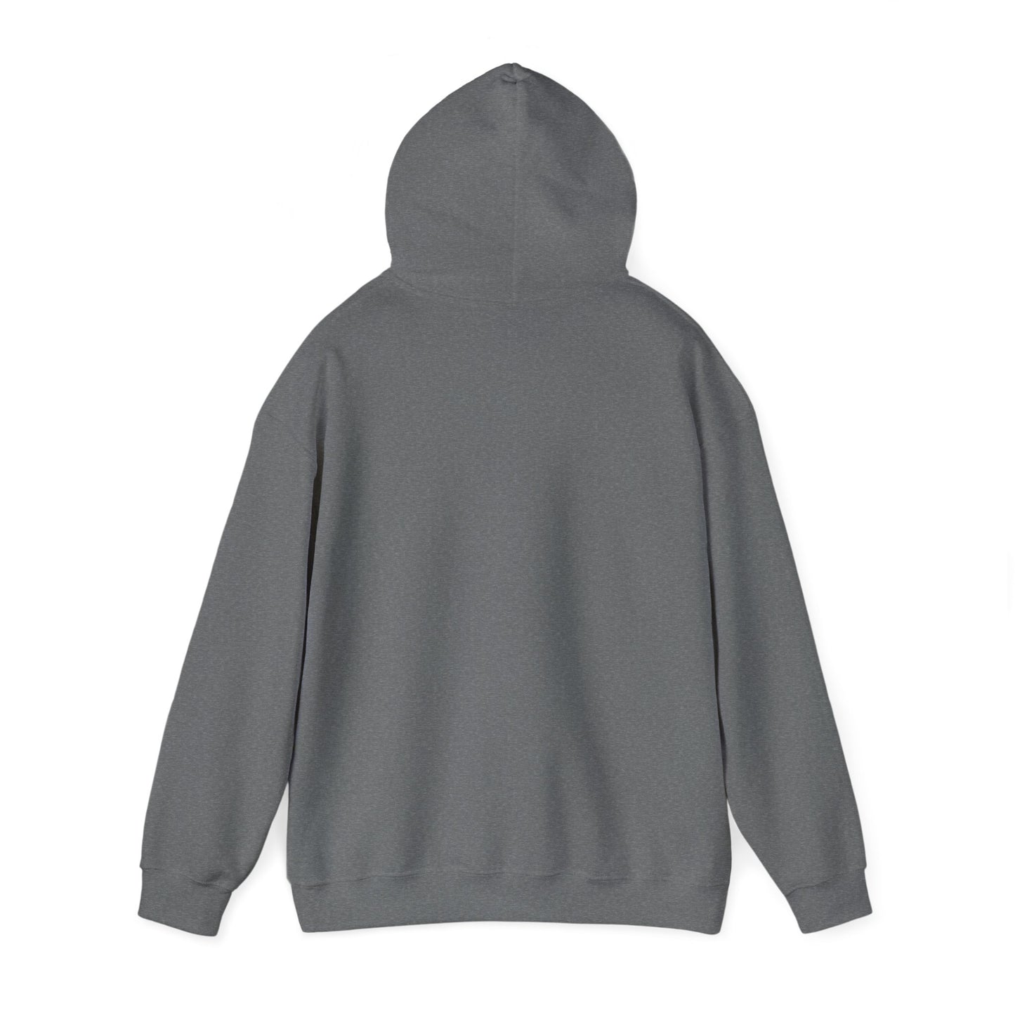 Hooded Sweatshirt - Focus on What You Need
