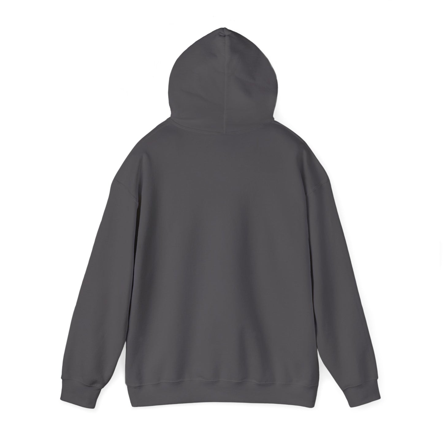 Hooded Sweatshirt - Focus on What You Need