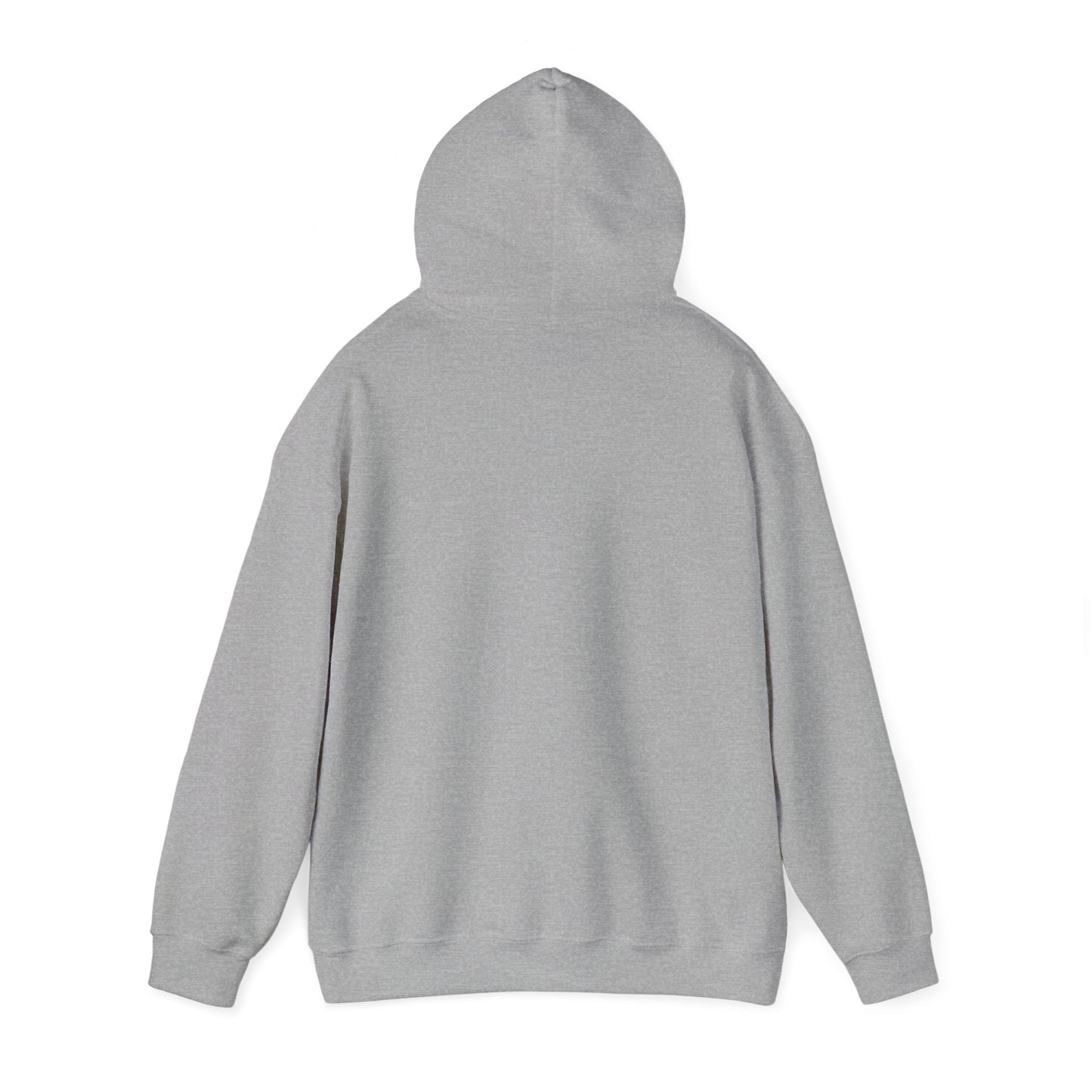 Hooded Sweatshirt - Focus on What You Need